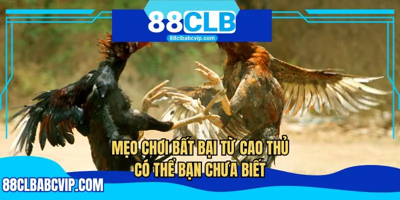 Mẹo chơi bất bại từ cao thủ có thể bạn chưa biết