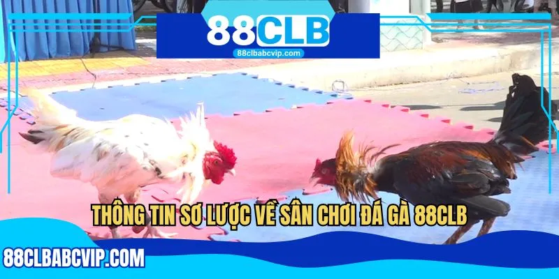 Thông tin sơ lược về sân chơi đá gà 88CLB